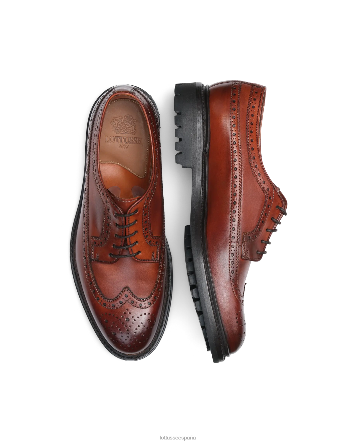 Lottusse derby de becerro de anilina de corteza de walton marrón hombres calzado V40NX56