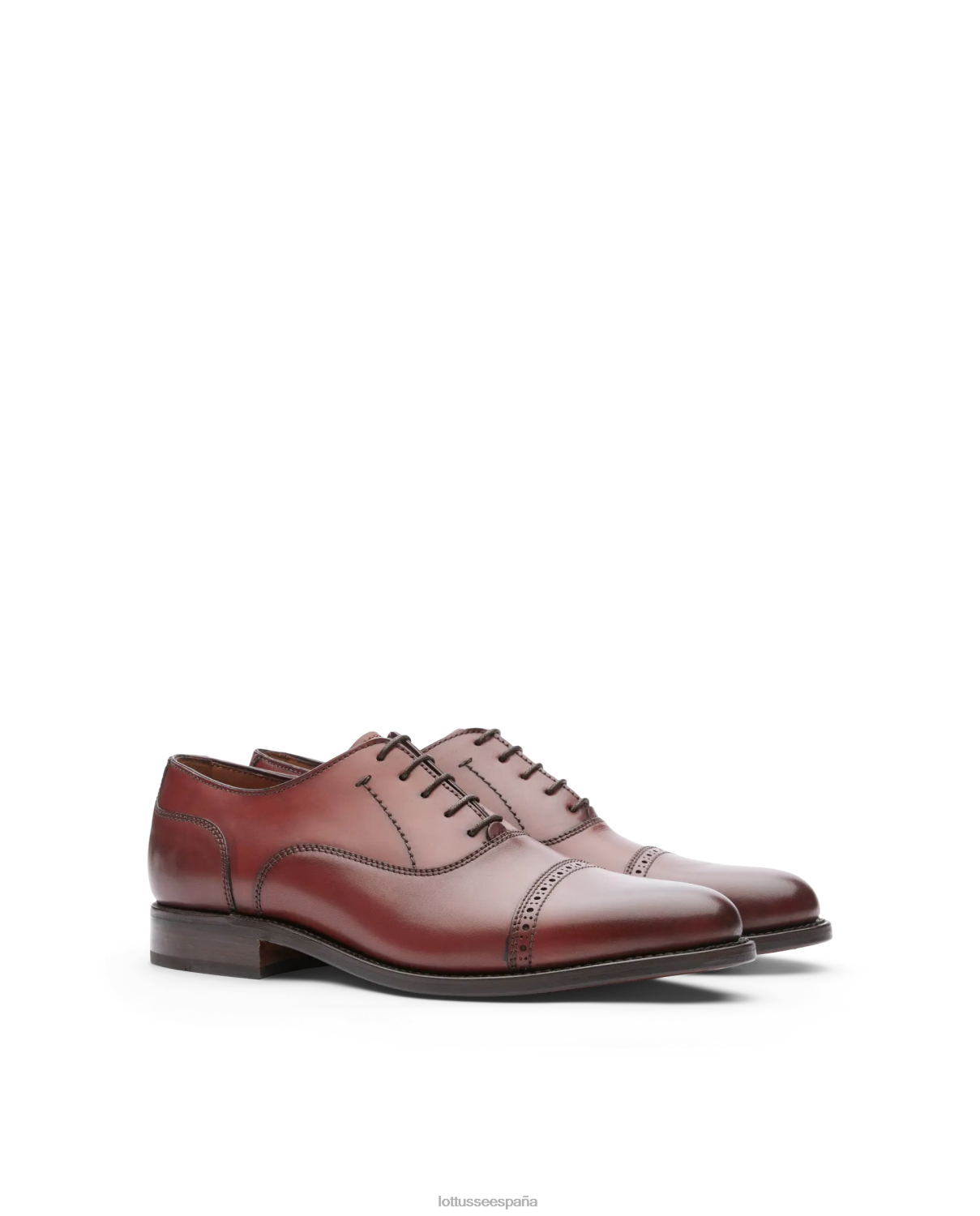 Lottusse Oxford de becerro anilina con corteza burdeos premium negro hombres calzado V40NX52