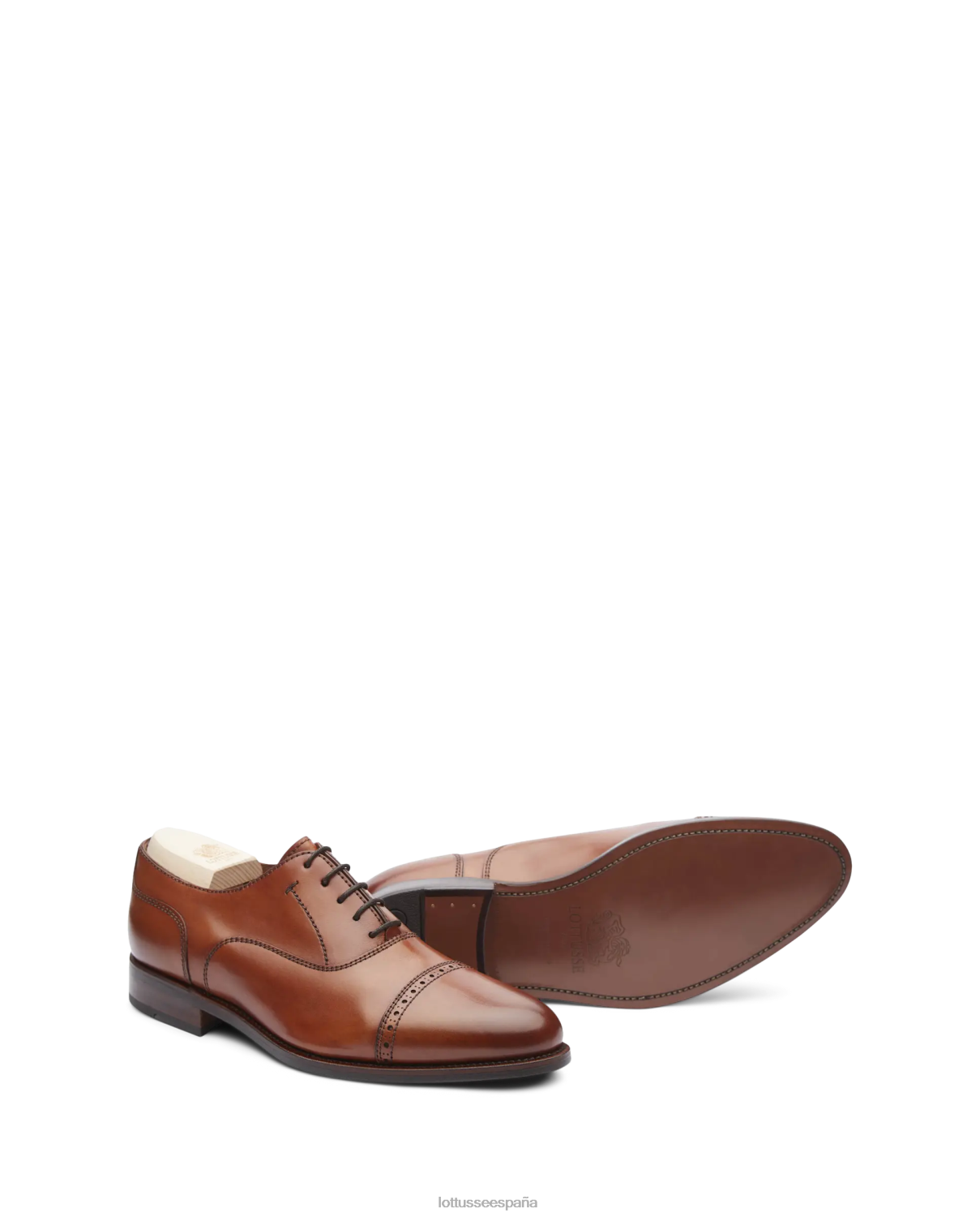 Lottusse Oxford de becerro de anilina con corteza premium marrón hombres calzado V40NX51