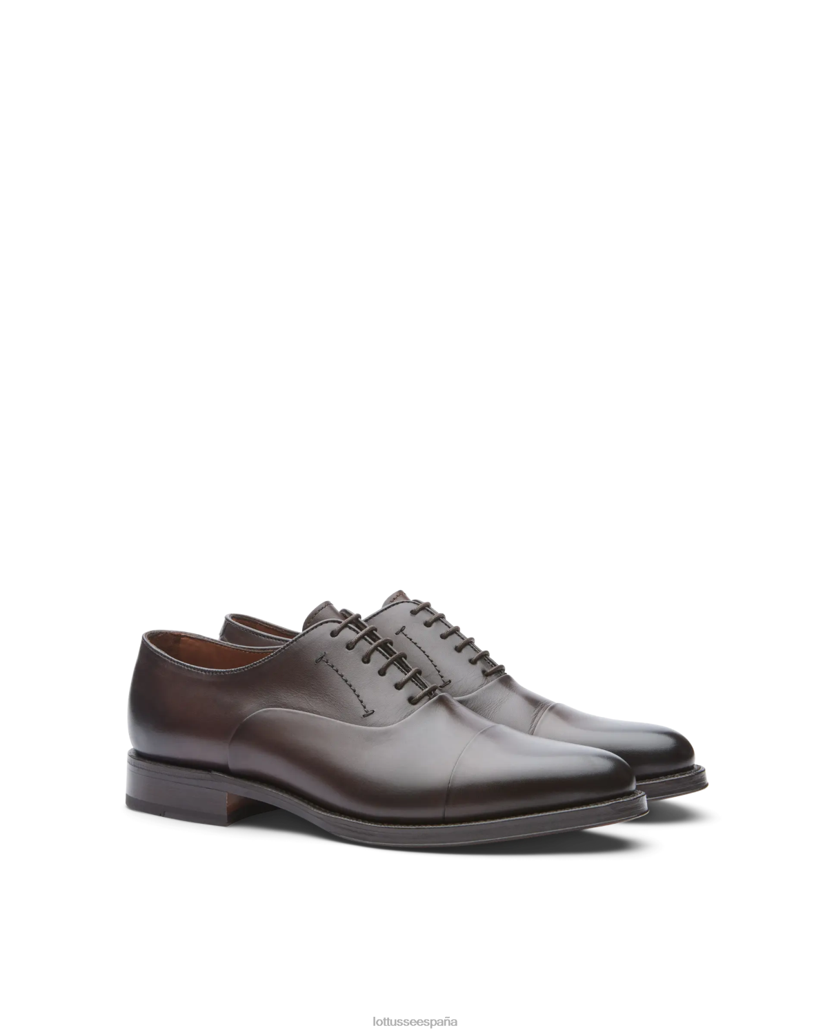 Lottusse Oxford de becerro de anilina con corteza premium moca hombres calzado V40NX2