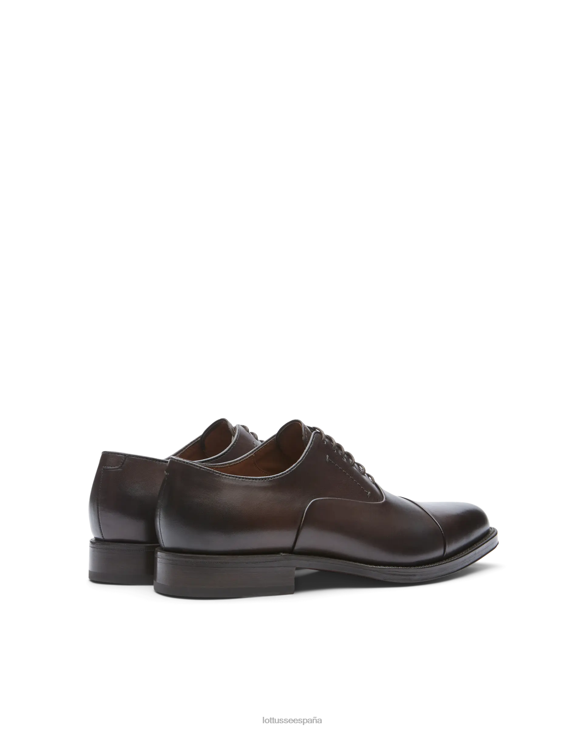 Lottusse Oxford de becerro de anilina con corteza premium moca hombres calzado V40NX2