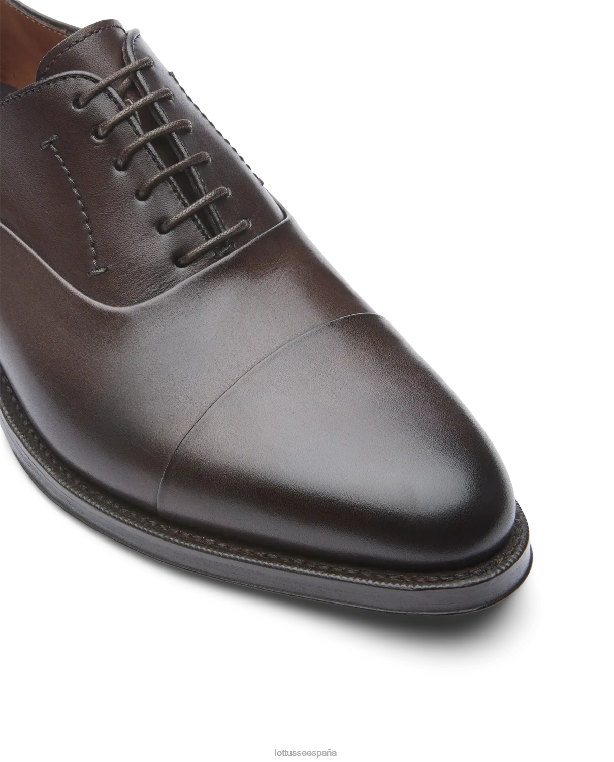 Lottusse Oxford de becerro de anilina con corteza premium moca hombres calzado V40NX2