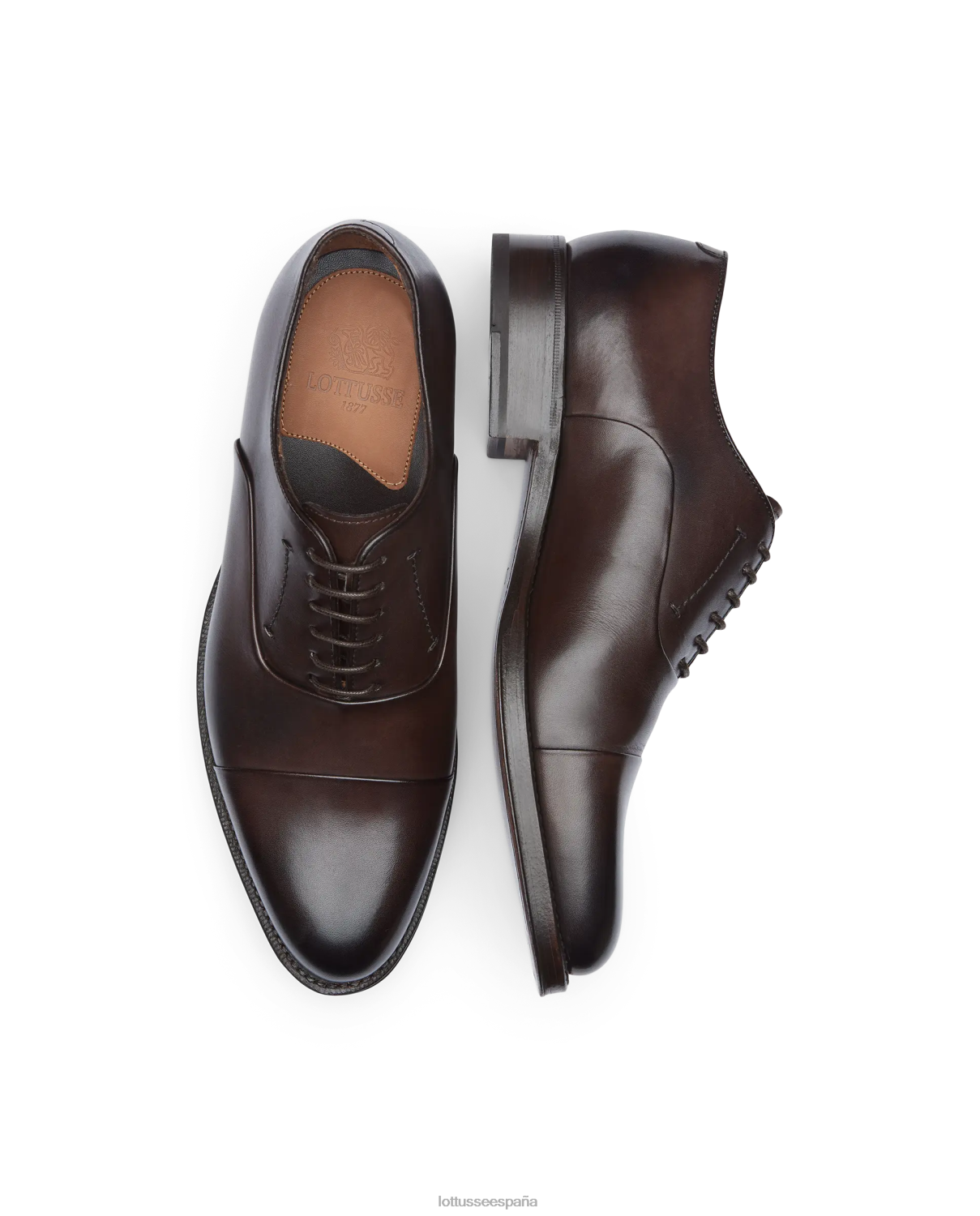 Lottusse Oxford de becerro de anilina con corteza premium moca hombres calzado V40NX2