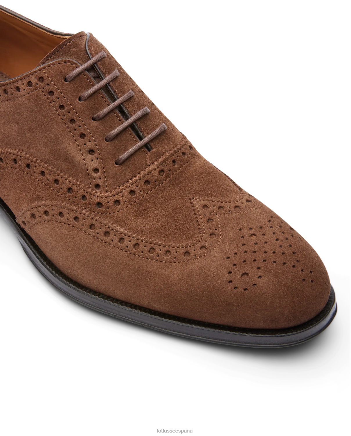 Lottusse lenox ante becerro oxford marrón hombres calzado V40NX140