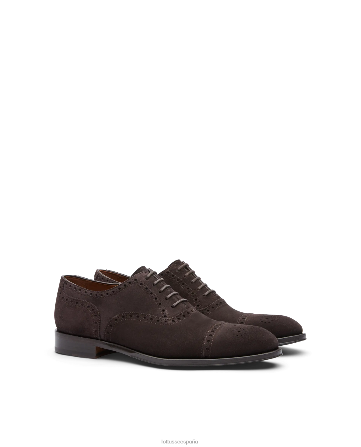 Lottusse lenox ante becerro oxford moca hombres calzado V40NX138