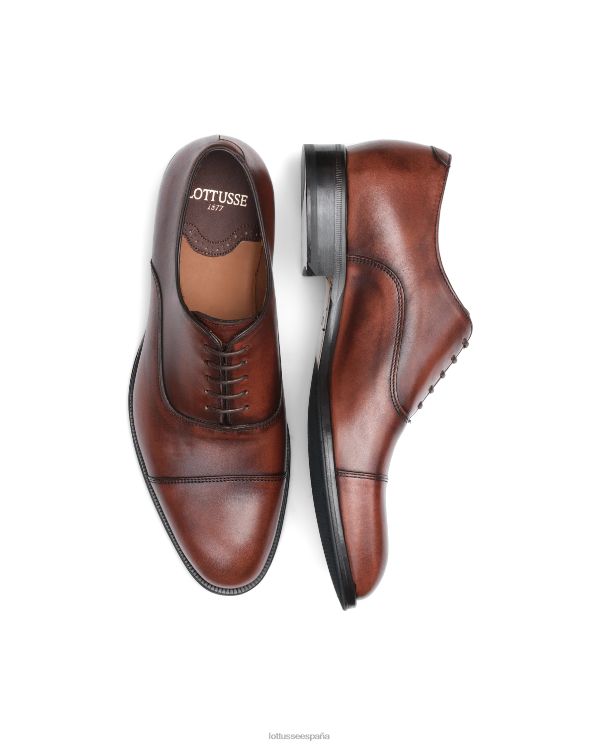 Lottusse lenox cepillado de becerro oxford marrón hombres calzado V40NX137