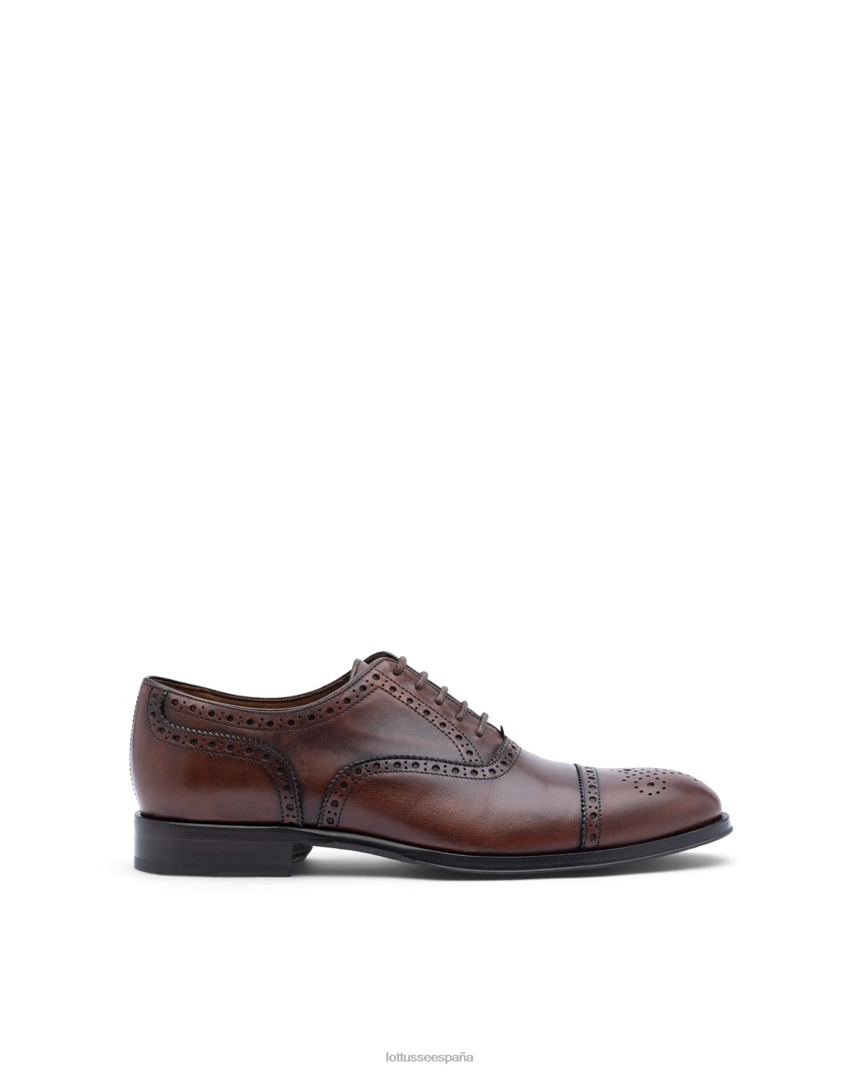 Lottusse lenox cepillado de becerro oxford marrón hombres calzado V40NX139