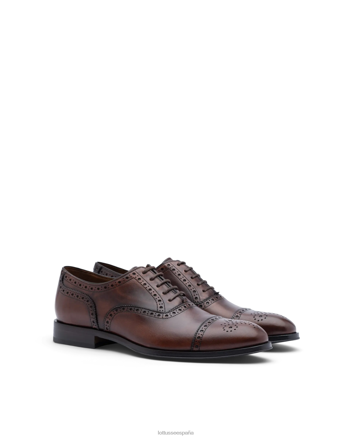 Lottusse lenox cepillado de becerro oxford marrón hombres calzado V40NX139