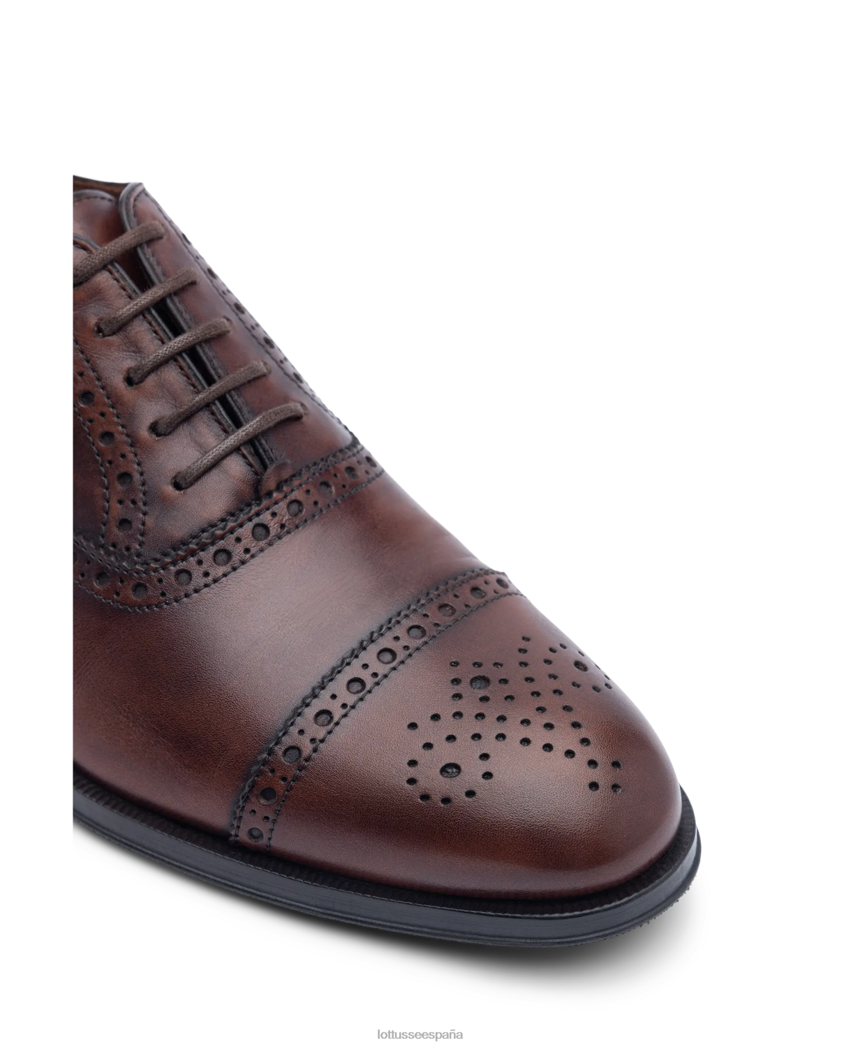 Lottusse lenox cepillado de becerro oxford marrón hombres calzado V40NX139