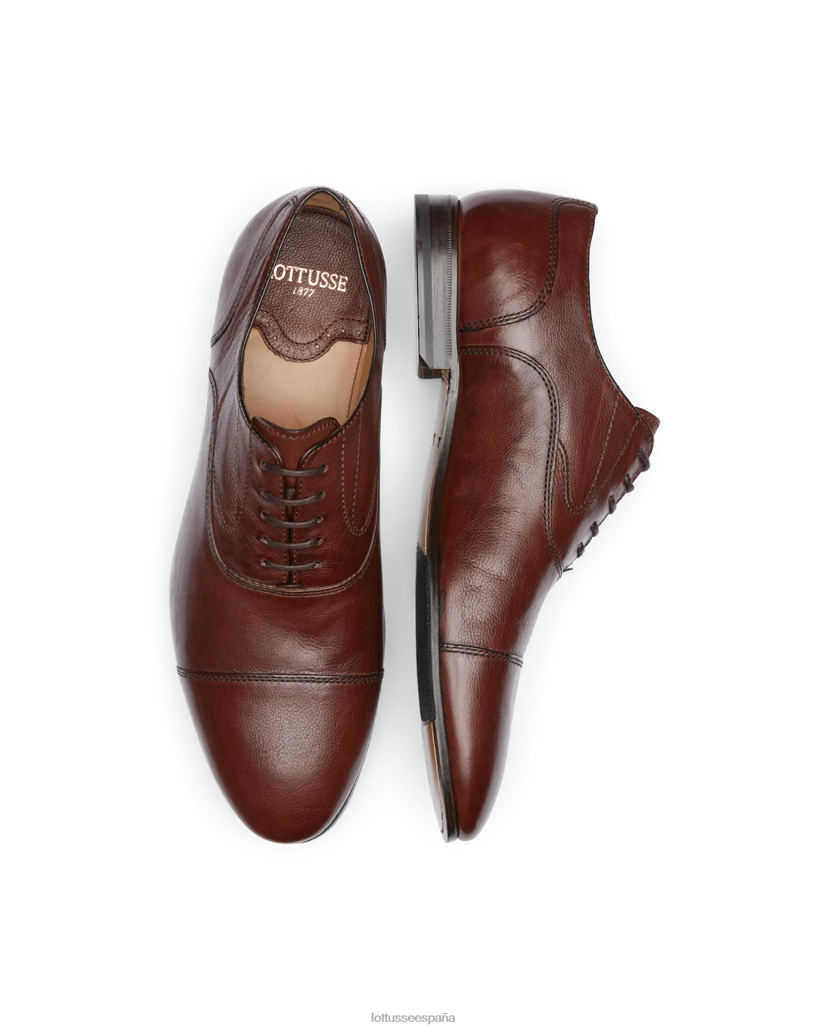 Lottusse verona cepillado de becerro oxford moca hombres calzado V40NX74
