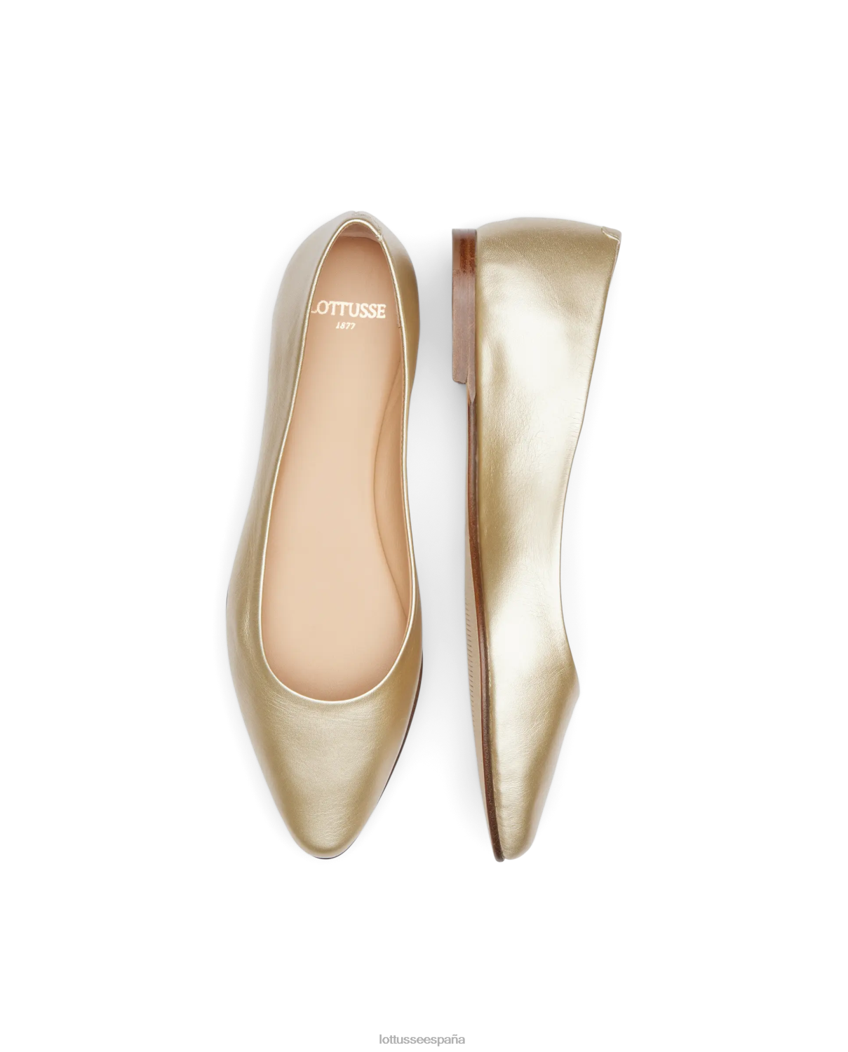 Lottusse bailarinas bel metal cabra oro mujer calzado V40NX265