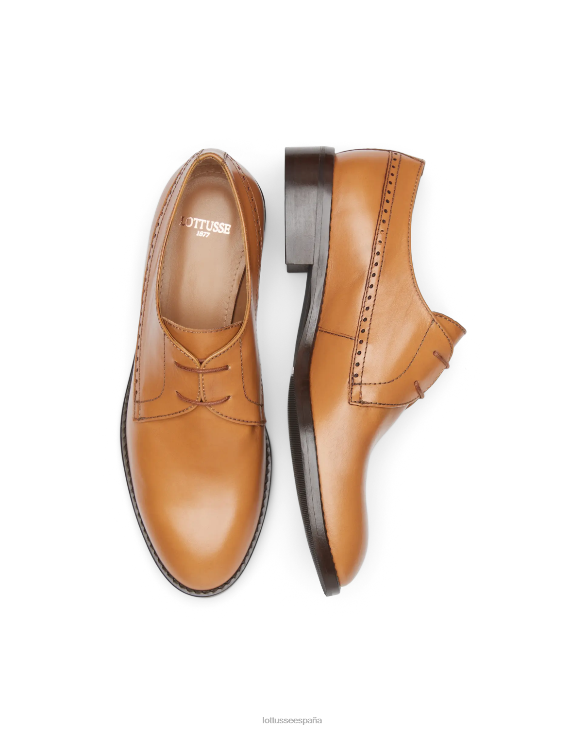 Lottusse claire derby de becerro liso marrón mujer calzado V40NX395
