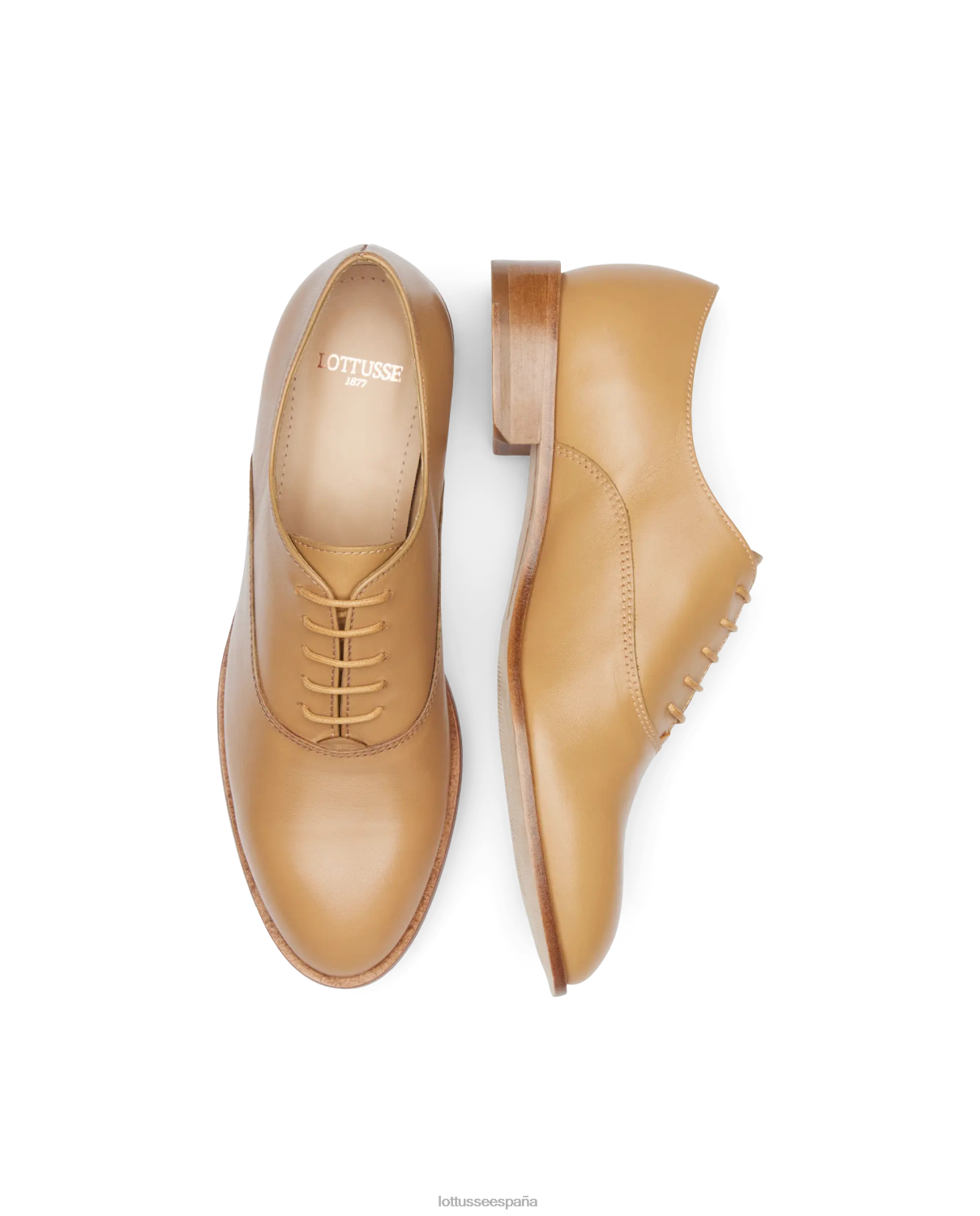 Lottusse Claire Oxford liso de becerro marrón mujer calzado V40NX242