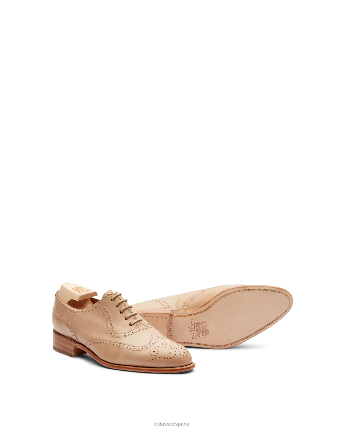 Lottusse cambridge crust anilin becerro oxford marrón mujer calzado V40NX212