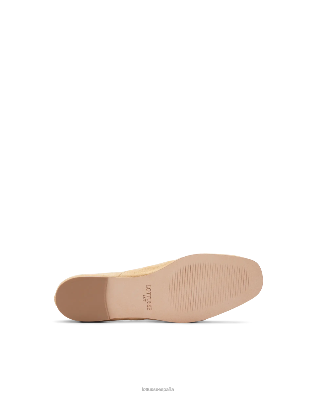 Lottusse goya cabra gamuza oxford beige mujer calzado V40NX272